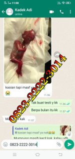 jual cytotec asli cod.jpg