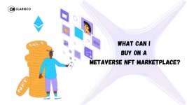What Can I Buy on a Metaverse NFT Marketplace.jpg