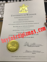 University-of-Windsor-Diploma-d.png