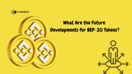 What Are the Future Developments for BEP-20 Tokens.jpg