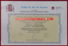 Universidad-Europea-de-Madrid-Degree.jpg